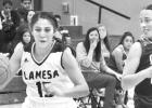 Season-opening win exciting for LHS girls