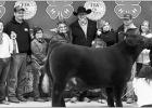Gass, Redwine awarded for their top steers