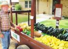 Garden vegetables sell on honor system