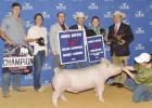 Krohn nabs big win with pig at Austin