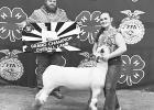 Roschetzky shows second grand champion