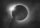 Texas A&M Forest Service encourages responsible recreation during annular eclipse