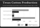 Cotton production forecast plunges
