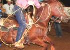 Thrills and spills at the rodeo