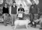 Krohn, Cozart earn champion awards with swine